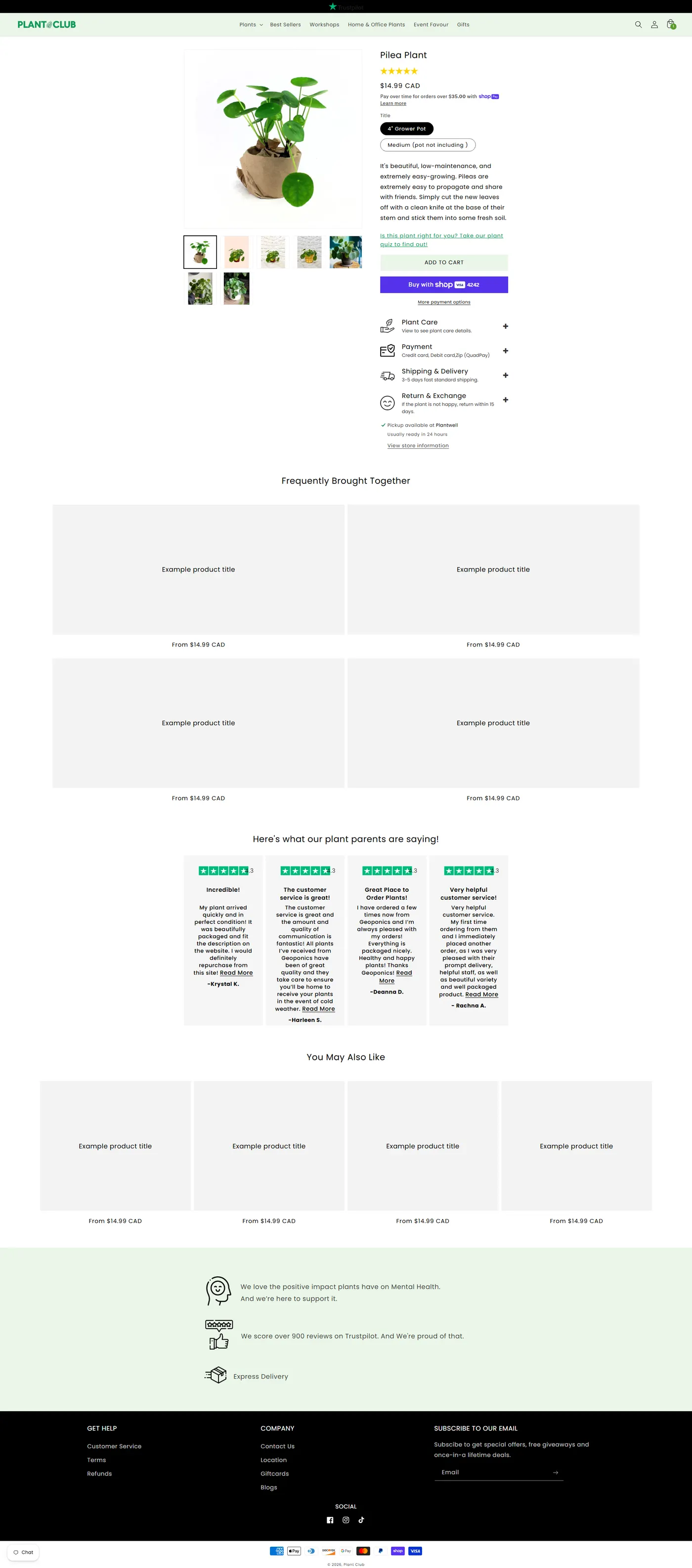 Product page before redesign
